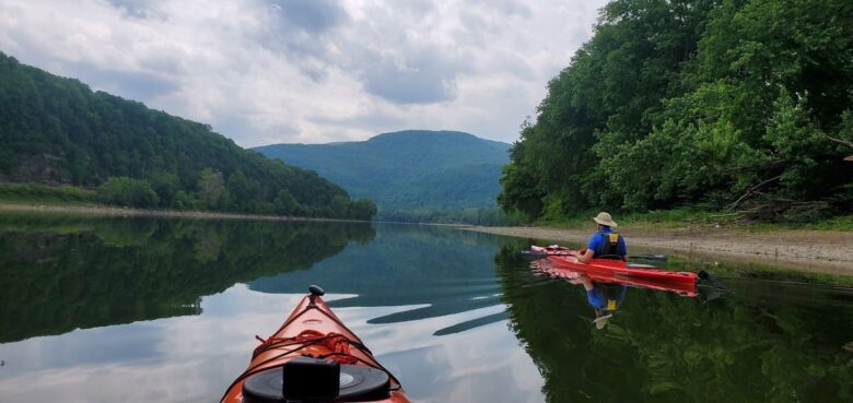 Man kayaks through trees, another kayak in the center