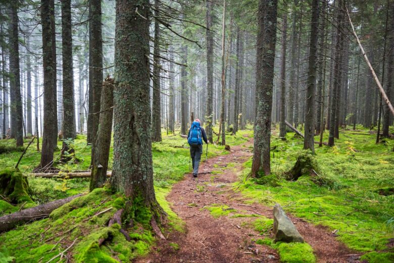A person hikes through a mossy forest